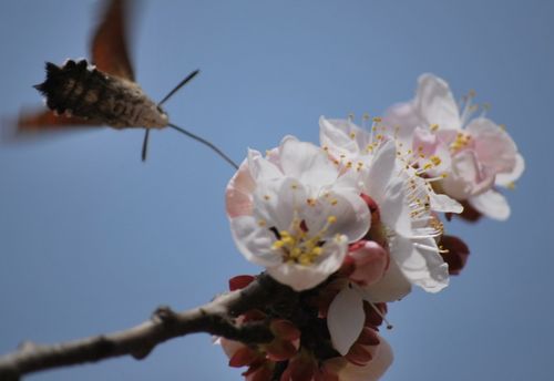 4月,痴痴难忘,旧爱痴缠,三大星座,接受复合,执手共度余生 恋人 