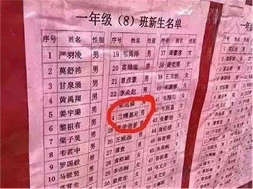 宝宝起名网顾,宝宝起名网顾——为您的宝宝挑选独特而吉祥的名字