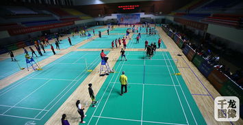 第4届京津冀羽毛球冠军挑战赛举办 14支代表队200名羽球爱好者参赛