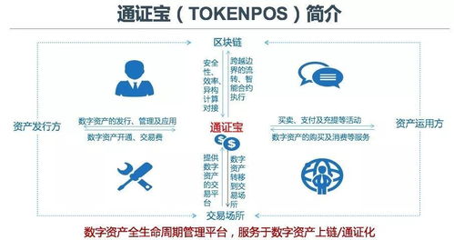 token值多少钱,Toke的实际价值。