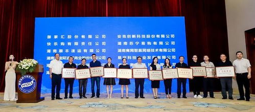 湖南省数字商务协会成立 助推传统产业数字化转型发展