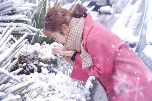 太美 瑞雪来临,冬日限定礼物送给你