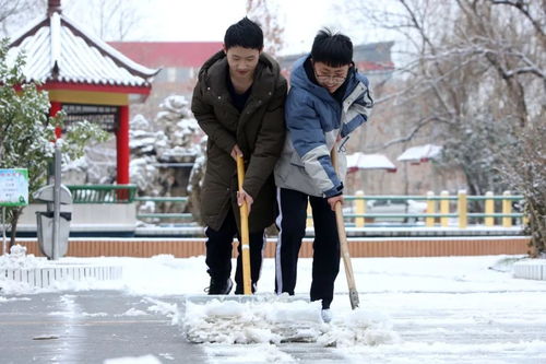 衡水中学 走,去雪地里撒欢