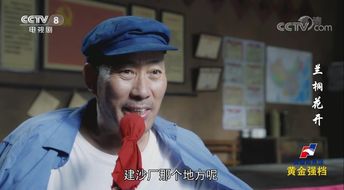 吴京安主演农村电视剧,吴京安主演的电视剧大全