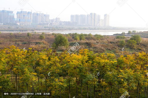 关于渭河的秋景诗句