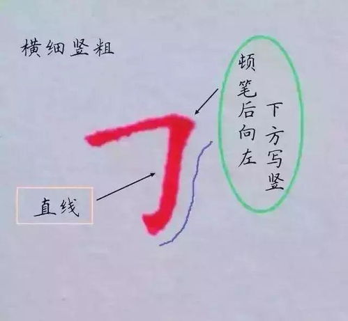 硬笔书法 掌握其规律,灵活地去学写