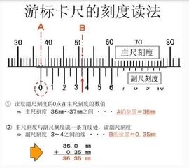 初中物理读数如何估读 