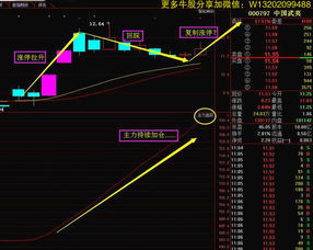 怎样通过指标来寻找庄家主升浪的启动点