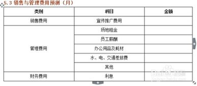 如何编写公司财务分析