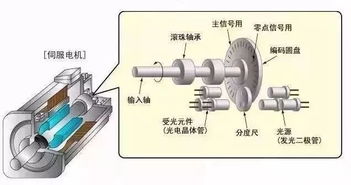 关于伺服电机你需要了解的有哪些呢 