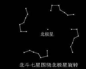 紫微星 中国命理学紫微斗数中的主星之一