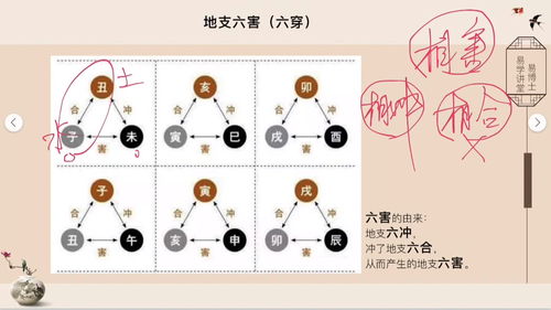 八字命理学,第十一课9 涨知识 学习 传统文化 