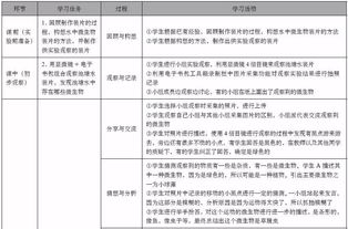 谈教学 解月光 袁文铮 在中小学学科课堂教学中如何培养学生的高阶思维 