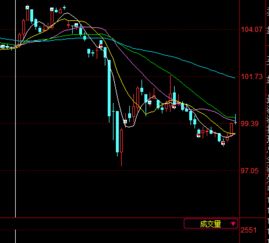 请问“中行转债”是什么意思？和股票一样吗？会跌吗？