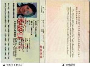 中国护照号码规则,揭秘中国护照号码背后