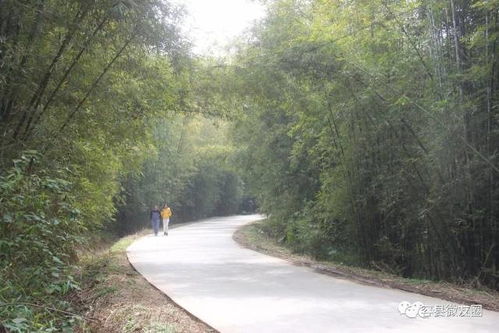 广西玉林容县浪水镇天气预报