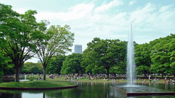 东京公园,东京公园：繁华中的绿洲