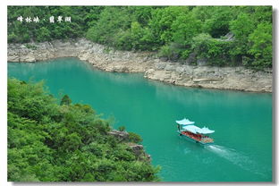 青山绿水共为邻