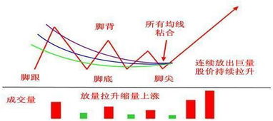 股价到顶下跌时，按先后顺序应跌破那几条均线（写出四条）