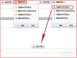 使用WPS解决文档页码错乱的问题