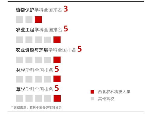 致高考生,我国很好考的双一流大学出炉,考上就赚到了