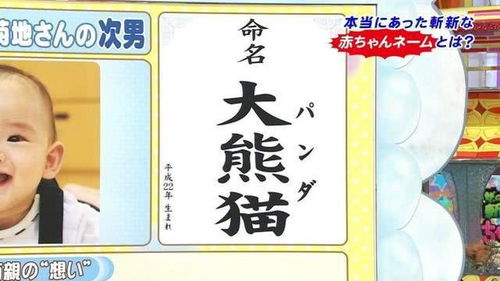 18年,闪亮的名字难承受,日本男子决意改名字重获新生