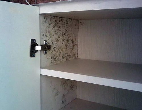 AFA不锈钢厨柜 阴雨连绵,橱柜变形发霉怎么办
