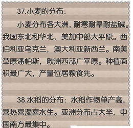 博士爸爸 46个地理顺口溜,1天学完4本教材 女儿考试拿满分