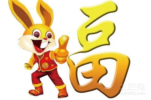 丁姓兔宝宝名字