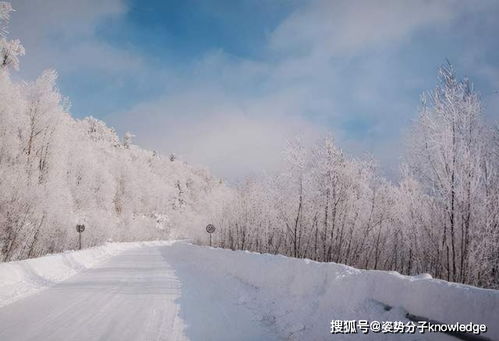 为什么拉尼娜现象给我国带来冷冬热夏