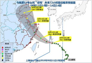 新民社会 新民头条 新首页 为民分忧 与民同乐 