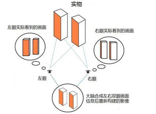 划时代巨作回归 阿凡达 经典重映