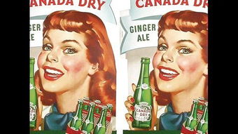 co op ginger ale,Discover the Refreshing Flavors of Co-op Ginger Ale