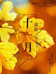 11月养生 做好五件事,少生病,体质更健康