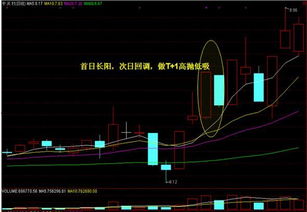 股票涨一个点：卖出的决策，是亏还是赚？