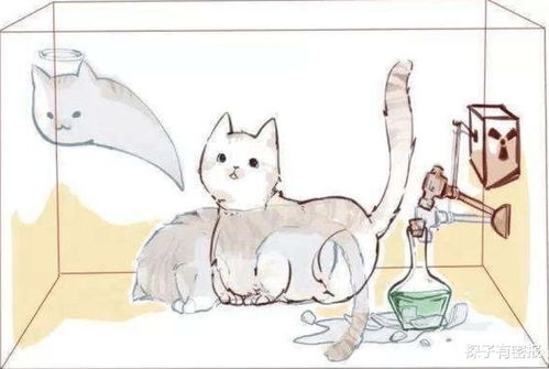 薛定谔的猫 是什么 比喻什么 来通俗解释 薛定谔的猫