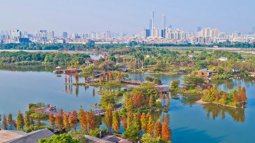 广州海珠湿地公园,广州海珠湿地公园简介：城市绿肺的自然魅力与人文关怀