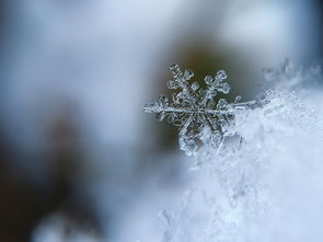 雪化后市什么