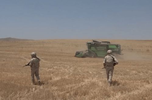 俄罗斯维和人员头顶烈日,确保马图尼地区的居民能安全收割小麦