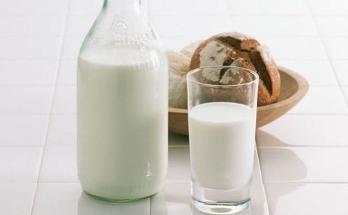 牛奶跟奶粉哪个好，牛奶和奶粉哪个更好