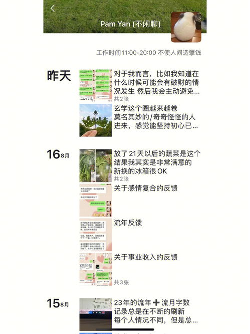 关于算紫薇斗数踩过的坑 