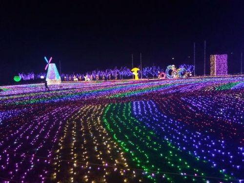 深圳海上田园晚上有灯展吗 