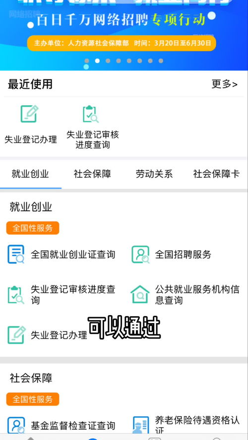 怎么查询失业补助金发放明细(失业保险金领取发放记录)