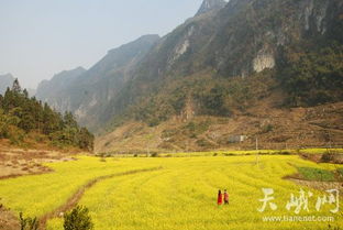 广西河池天峨八腊瑶族乡