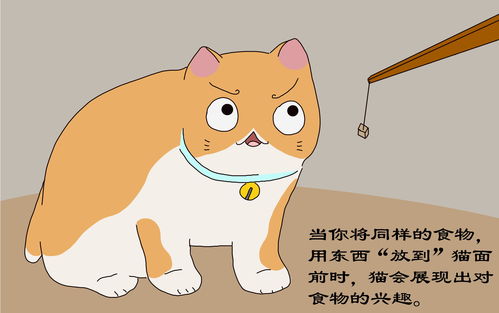 天蝎座猫咪的性格(摩羯座是猫吗)(天蝎摩羯是什么象星座)