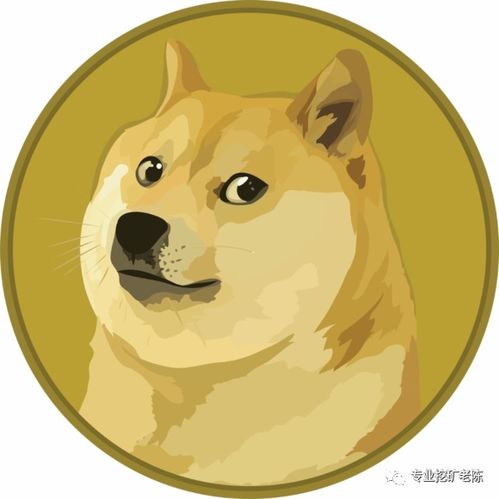 doge币是什么币种,doge是什么币种？