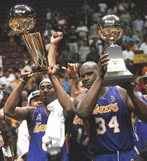 08到09年nba总决赛，NBA2009总冠军是那个