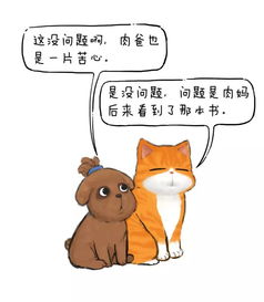 歪猫说歪理,歪得很有道理 快看看你是不是这样