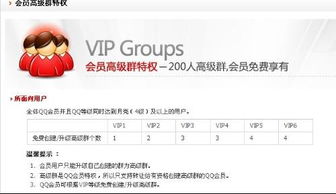 VIP5可以建几个群