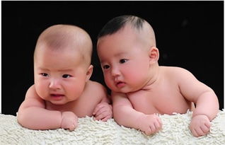 何氏双胞胎起名字,何氏,双胞胎给孩子起名